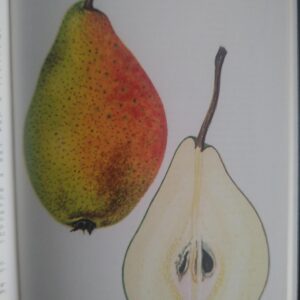 Légipont - Fondante de Charneu-Merveille de Charneu