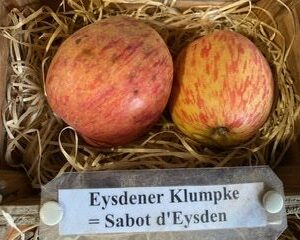 Eysdener Klumpke - Sabot d'eysden