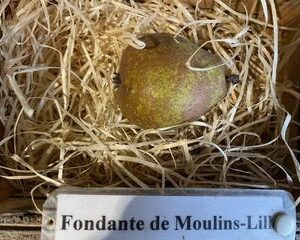 Fondant de Moulin-Lille