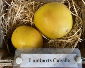 Lombarts Calville