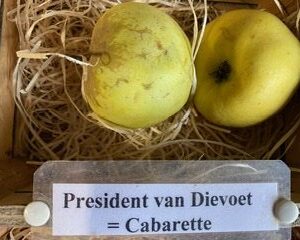 President van Dievoet - Cabarette - President Henry van Dievoet - Cabaret