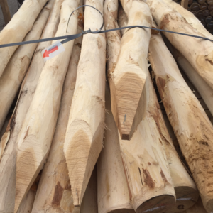 Boompaal Acacia 8/10 250
