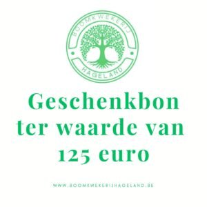 Geschenkbon 125€