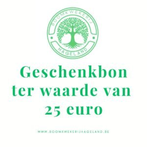 Geschenkbon 25€